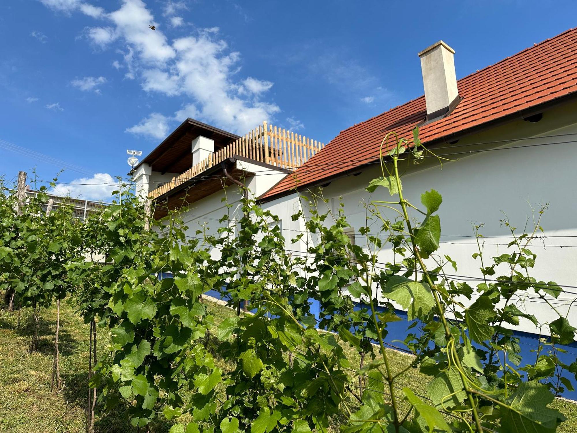 Nad Slovackym Sklipkem Villa Tupesy Exterior foto